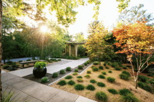 O fim do gramado tradicional: por que ninguém mais quer cortar grama