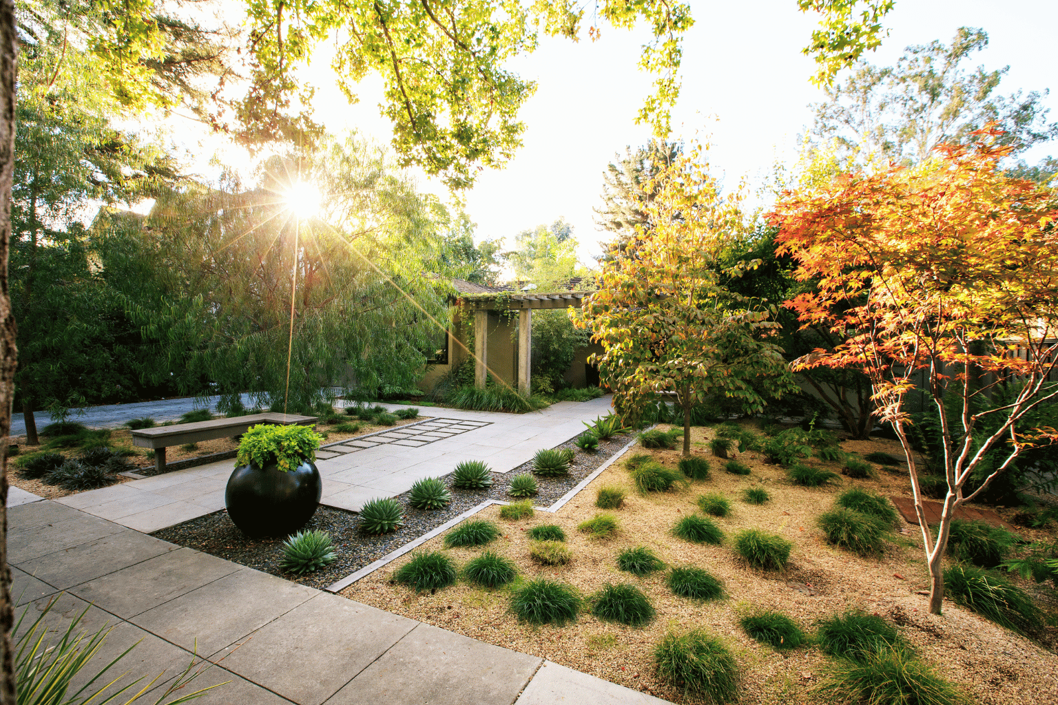 O fim do gramado tradicional: por que ninguém mais quer cortar grama