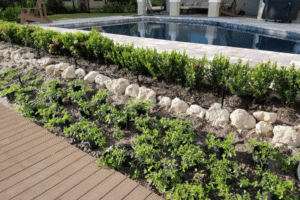 O fim do gramado tradicional tendencia 2026 3