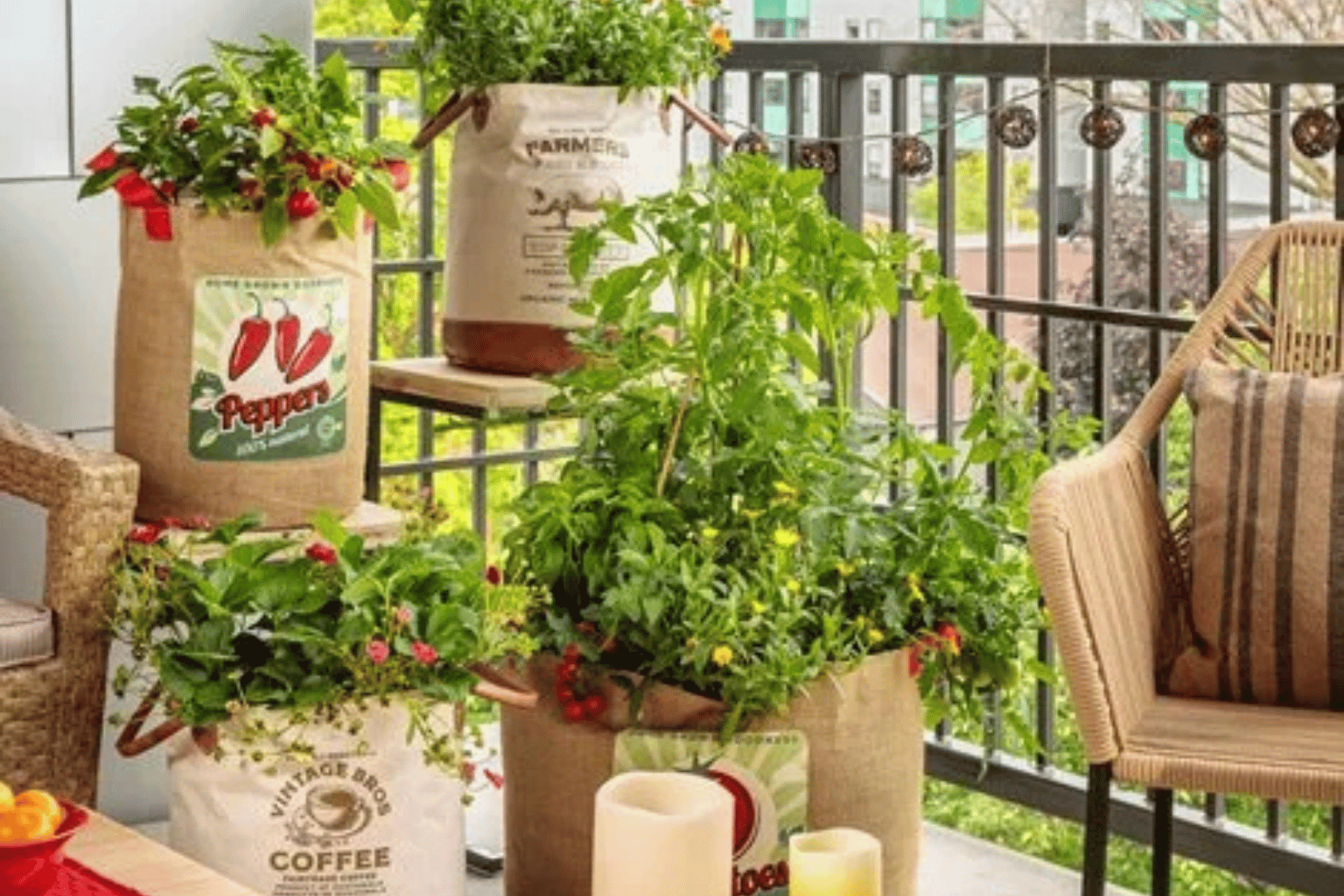 Plantas fáceis estão deixando seu jardim mais fraco