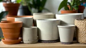 Como escolher vaso para plantas: guia completo para acertar no tamanho, material e drenagem