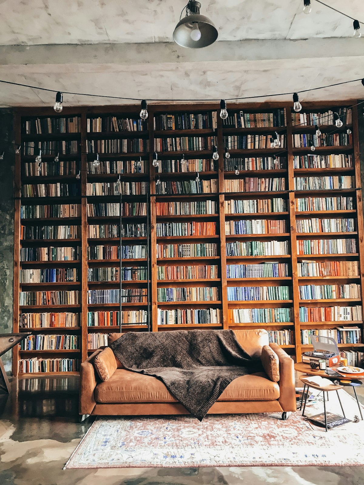 Plantas para Cada Cômodo da Casa: O Guia que Você Precisava (Da Sala ao Banheiro)